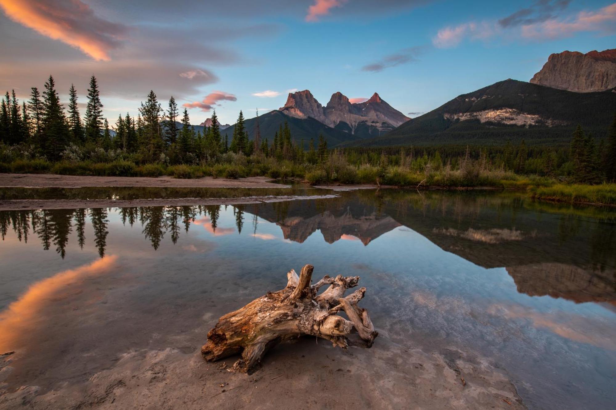A Bear And Bison Country Inn Canmore Exteriör bild